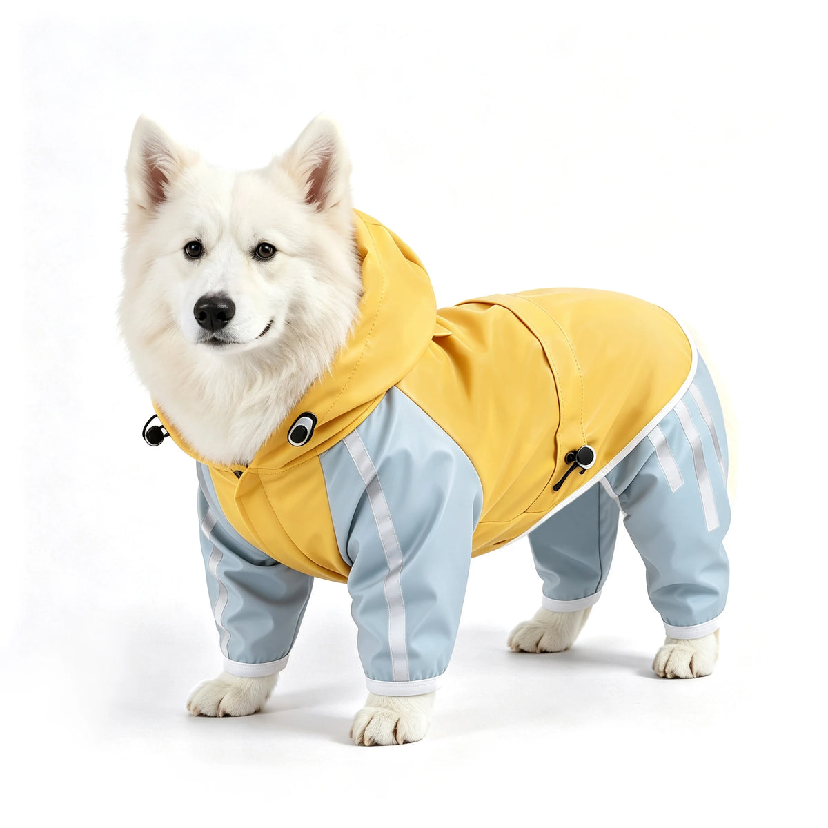 All Weather Dog Raincoat